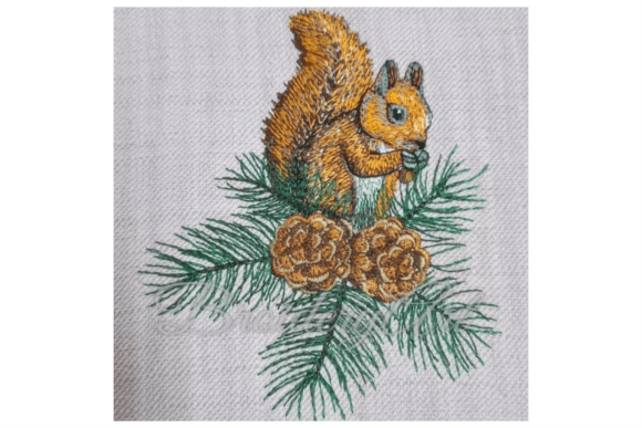 Cones Twigs and a Squirrel